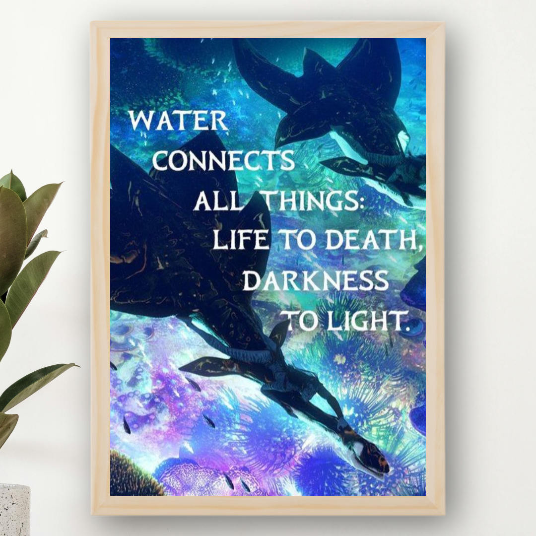 Avatar Framed Poster – Premium Wall Art